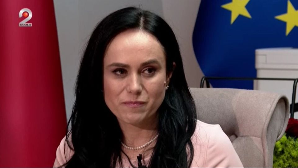 simona bucura oprescu, legea pensiilor, ministru muncii declaratii