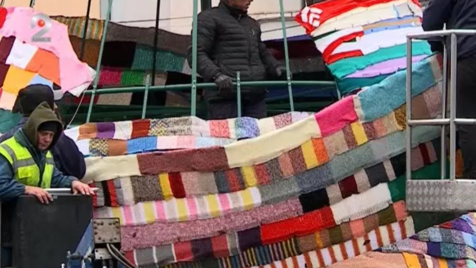 brad targu mures, brad fulare, brad craciun 2023