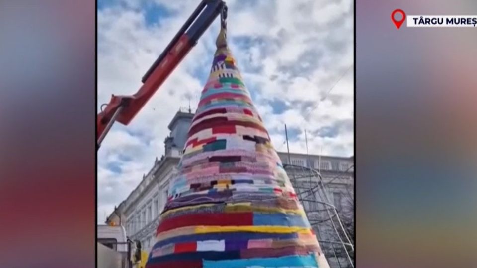 brad targu mures, brad fulare, brad craciun 2023