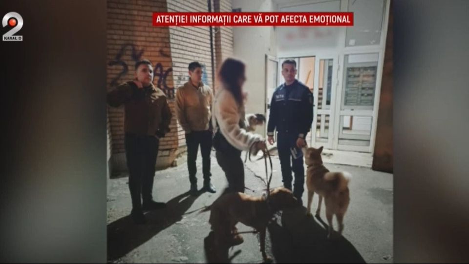 crima aviatie, ucigas aviatie, explicatii crima aviatiei 