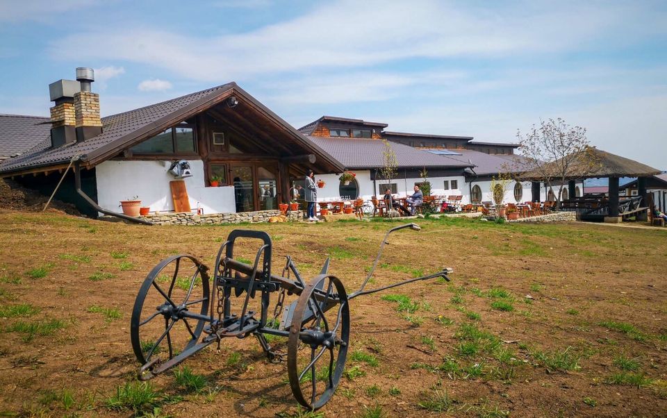 ferma dacilor incendiu 