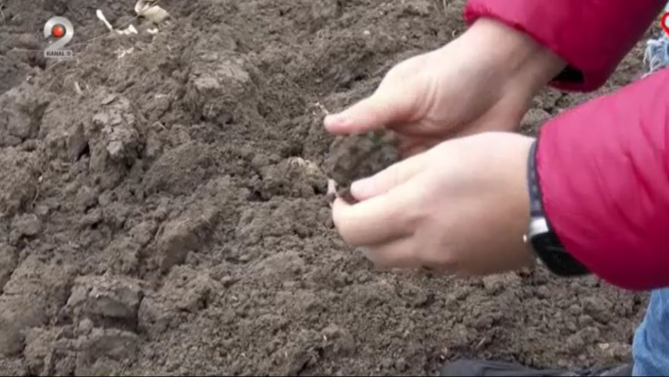 ger, cel mai cald an, temperaturi 2024, iarna 