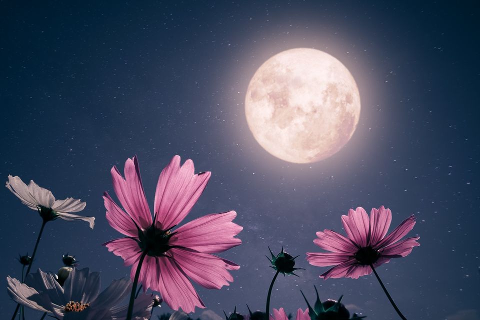 echinocțiul de primăvară 2024&nbsp;