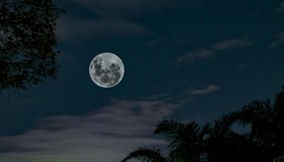 fazele lunii martie 2024 