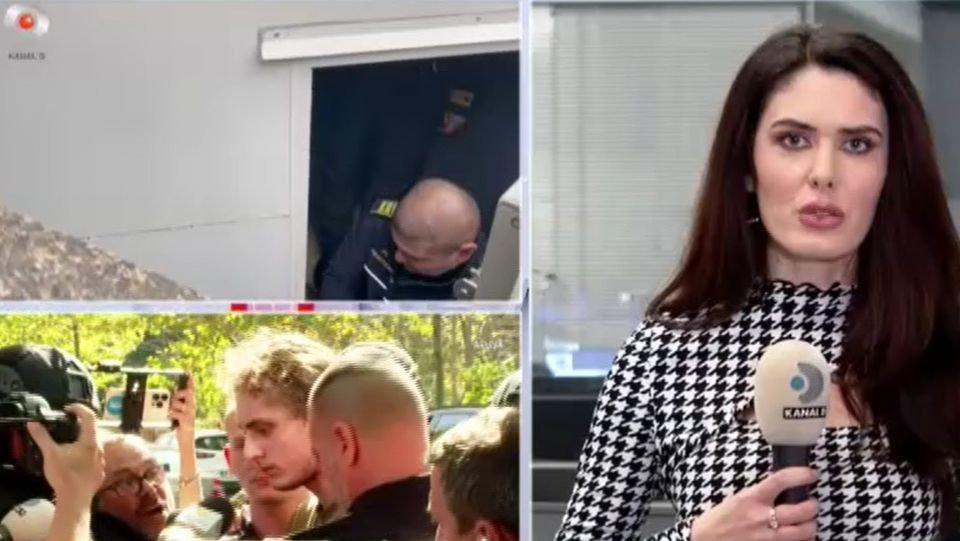 alina gorghiu, vlad pascu, vlad pascu proces, ministrul justitiei