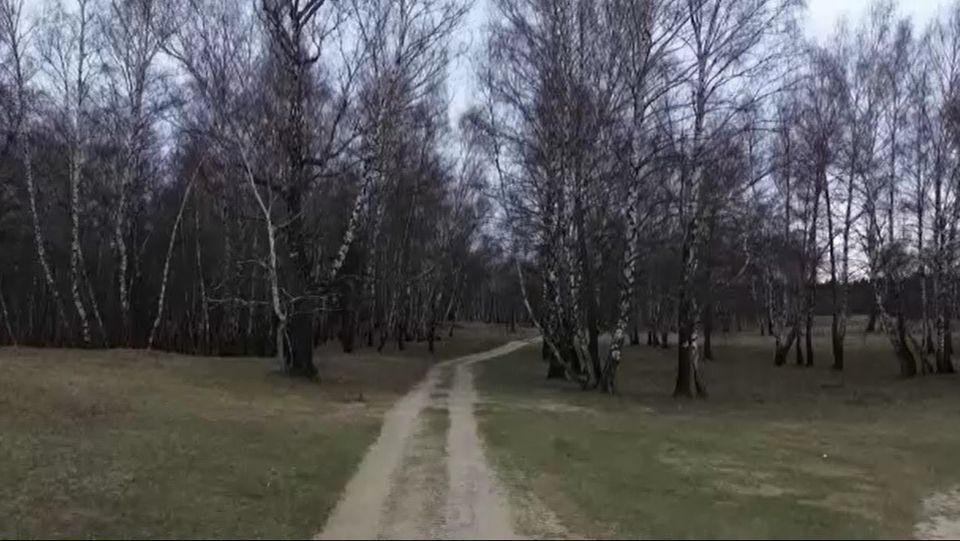 seva mesteacan, rezervatie protejata, covasna