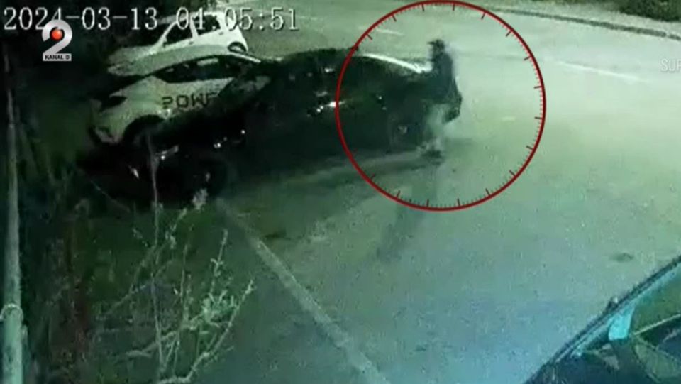 politie locala arad, masini vandalizate, infractor arad