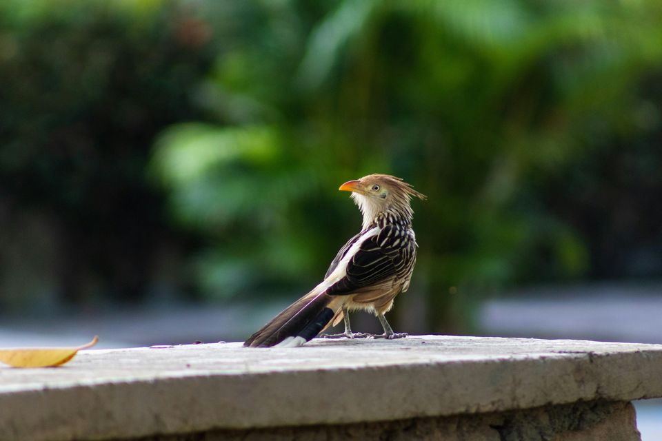 buna vestire 2024 traditii 