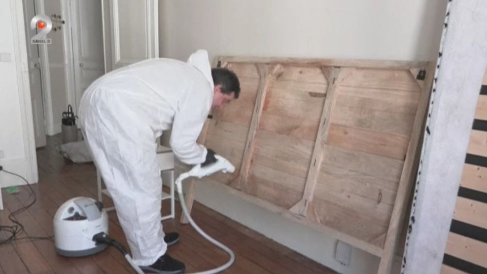 plosnite, scoala infestata, sector 5, insecte