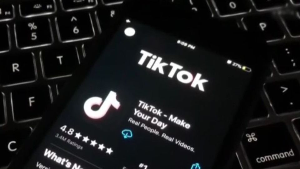 alegeri 2024, an electoral, partide extremiste, tiktok 