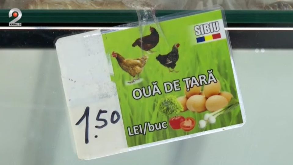 oua paste, pret oua paste, masa paste 2024