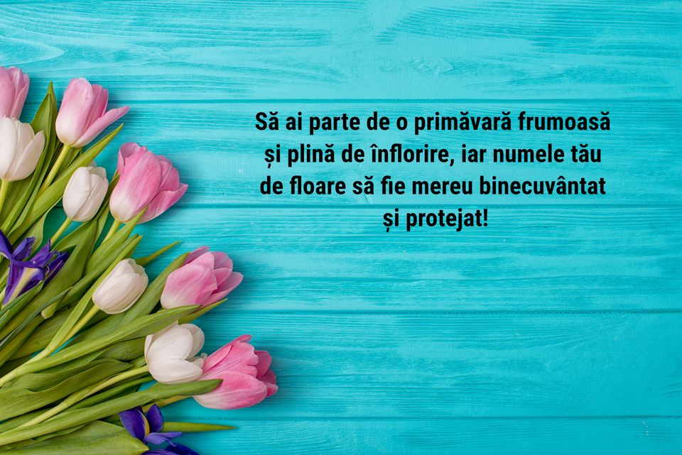 felicitari florii 2024 