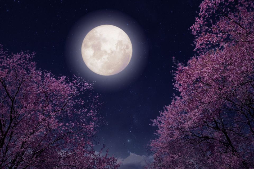 fazele lunii mai 2024 