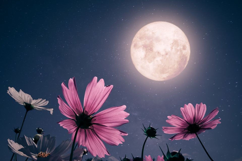 fazele lunii mai 2024 