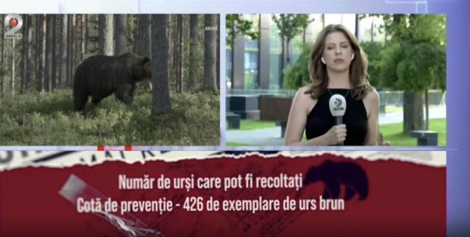 Legea care de undă verde pentru v&acirc;narea urșilor a fost adoptată &icirc;n Parlament
