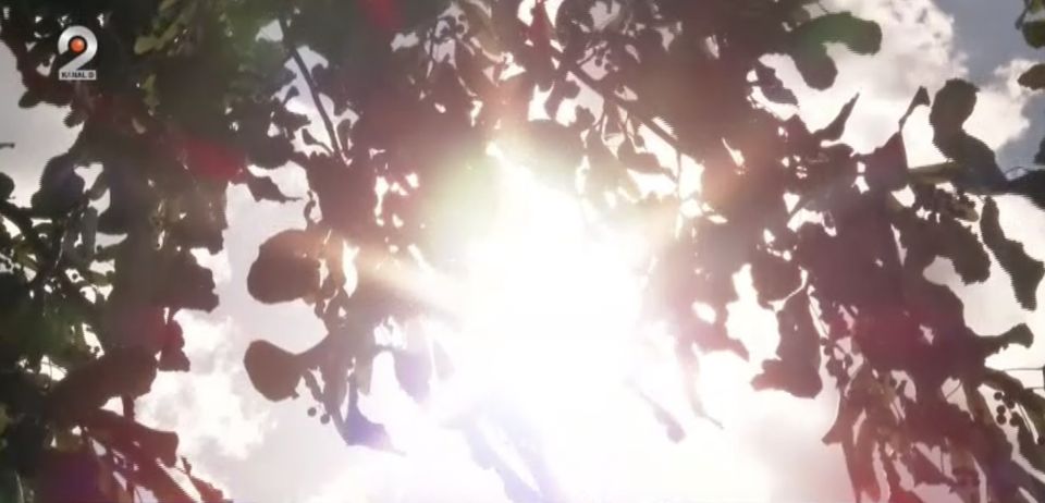  Oamenii se &icirc;mbolnăvesc din cauza nopților tropicale