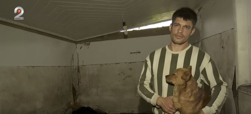 Un c&acirc;ine din Galați și-a salvat stăp&acirc;nul de la moarte