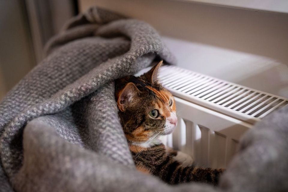 Progonză meteo 21 octombrie- 3 noiembrie.