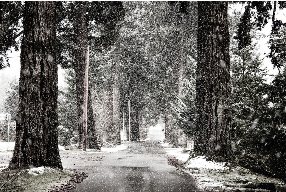 Alertă meteo! Ninsorile lovesc Rom&acirc;nia &icirc;n următoarele zile