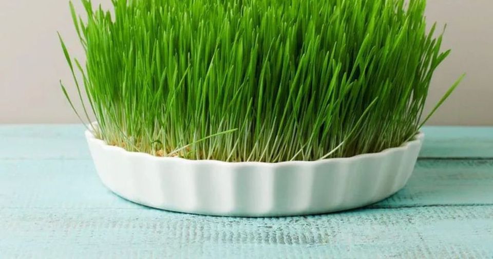 Greșeala banală pe care o fac mulți credincioși