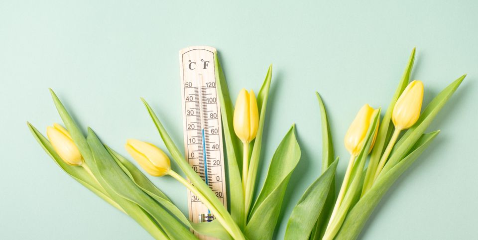 Cum va fi VREMEA de Florii 2025