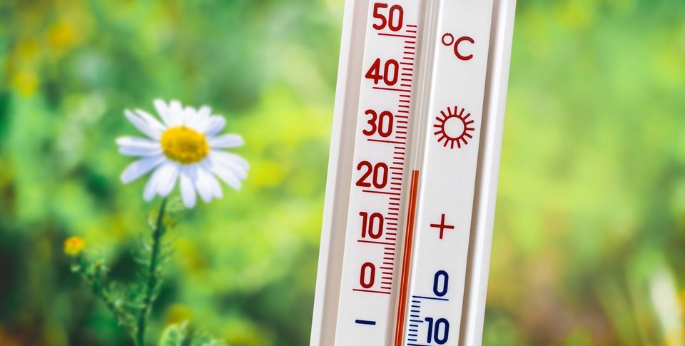 Cum va fi VREMEA de Florii 2025