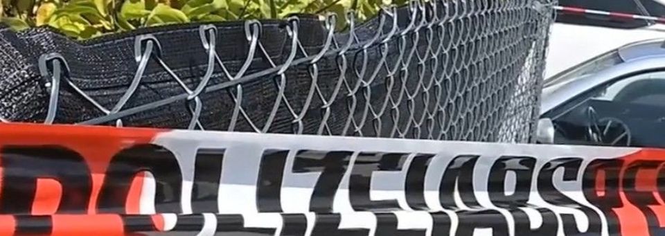 Ce au mărturisit apropiații despre Hannah, singura care nu a fost ucisă de tatăl ei. 