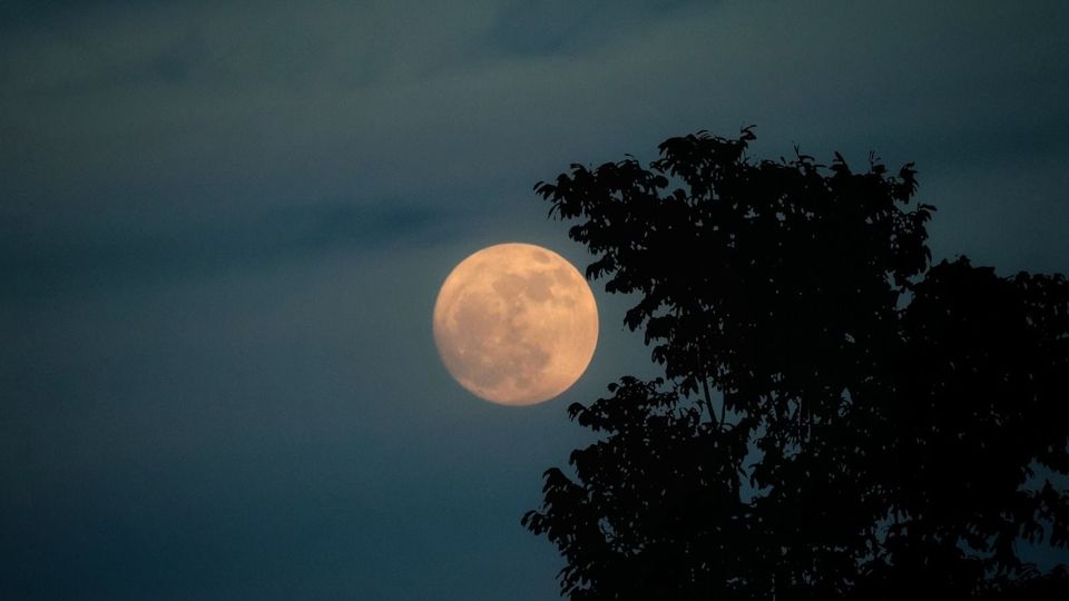 Luna Castorului luminează cerul pe 5 noiembrie 2025.