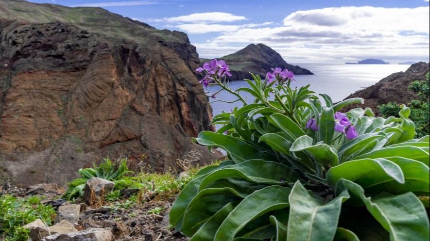 Doi rom&acirc;ni au au avut parte de un sf&acirc;rșit tragic &icirc;n Tenerife