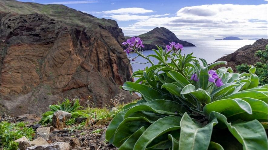 Doi rom&acirc;ni au au avut parte de un sf&acirc;rșit tragic &icirc;n Tenerife