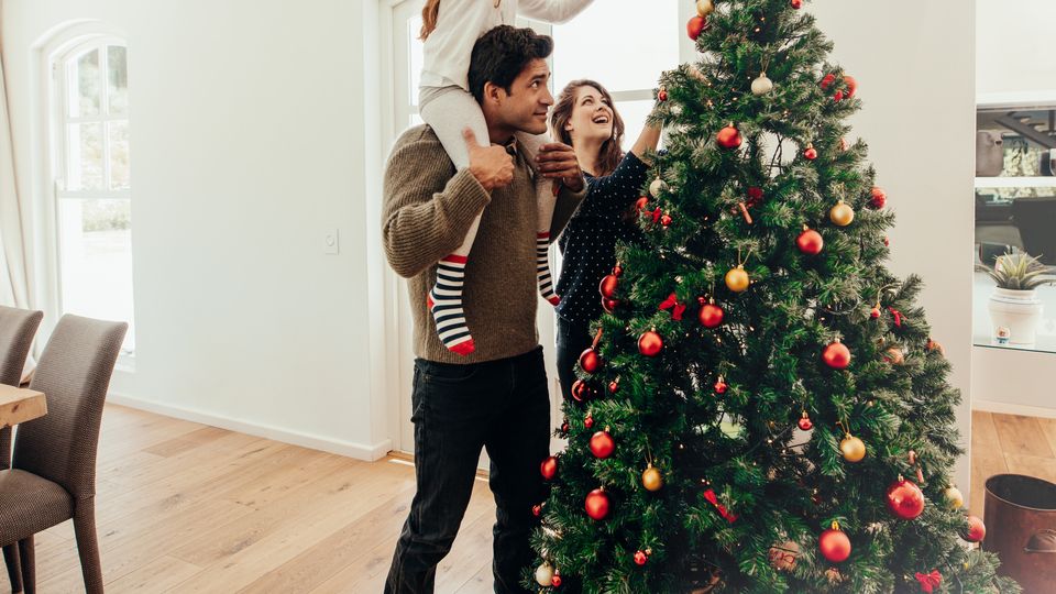 brad de craciun locuri interzise 