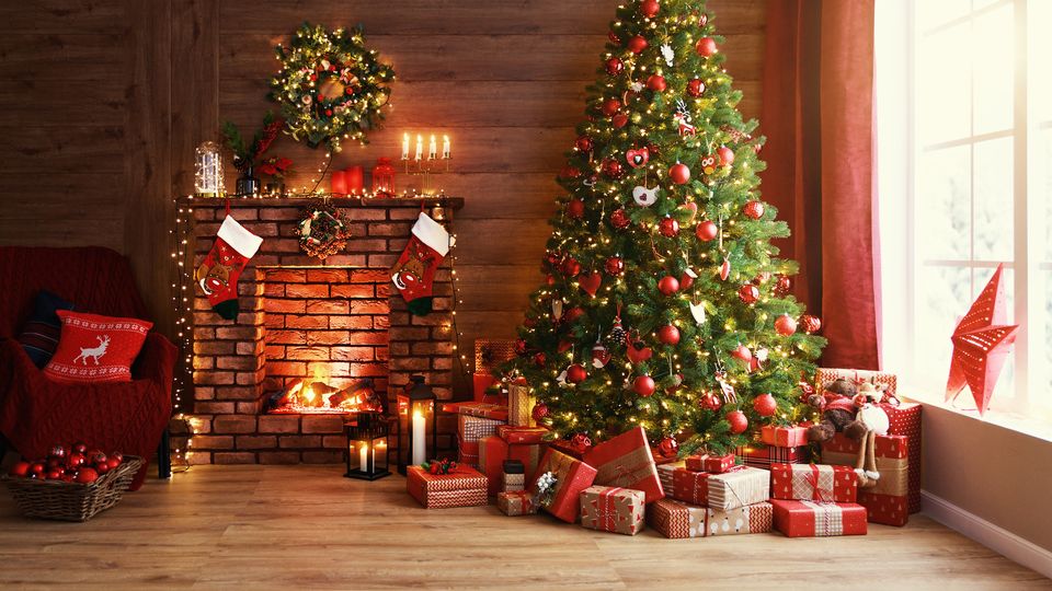 bradul de craciun locuri interzise 