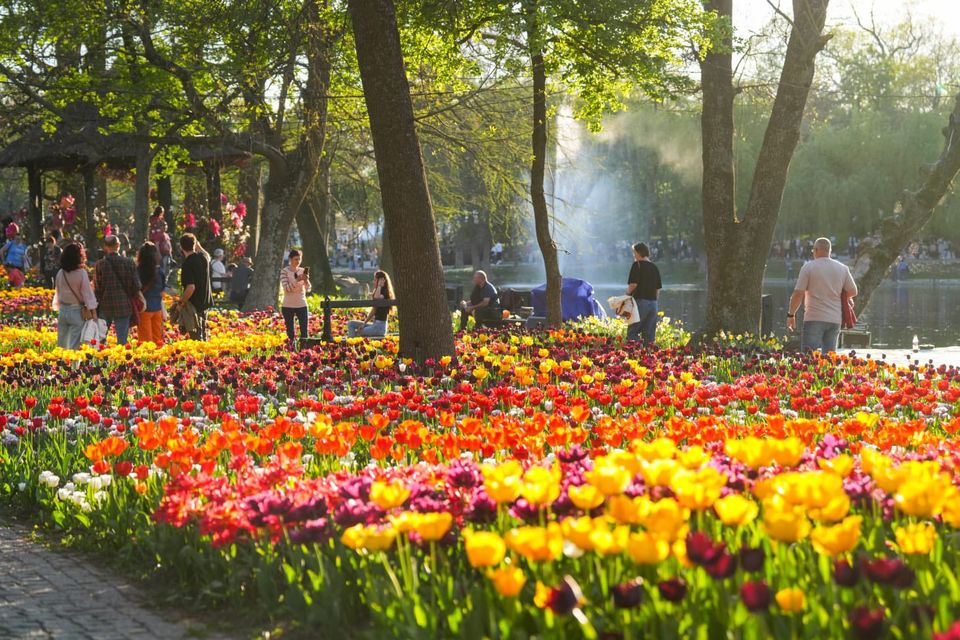 targ de paste craiova 