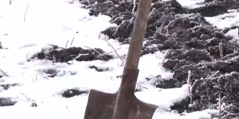 Care au fost ultimele clipe din viață ale lui Mario, t&acirc;nărul ucis de prietenii săi?