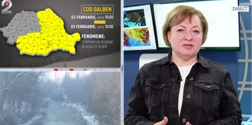 Florinela Georgescu, director ANM