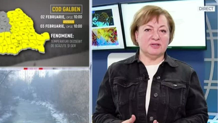 Florinela Georgescu, director ANM