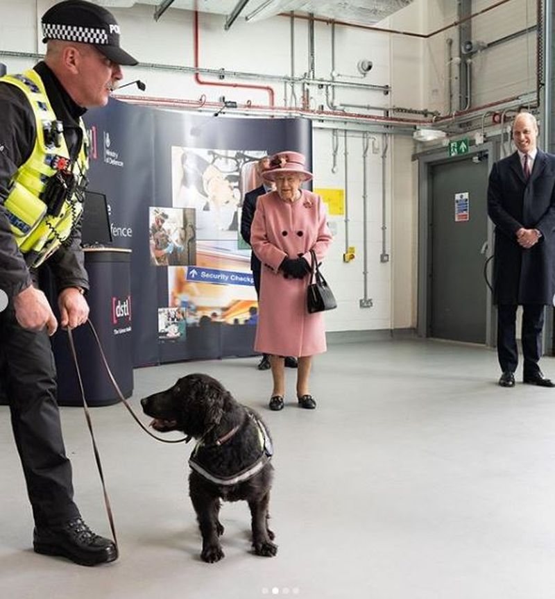 Regina Elisabeta a II-a