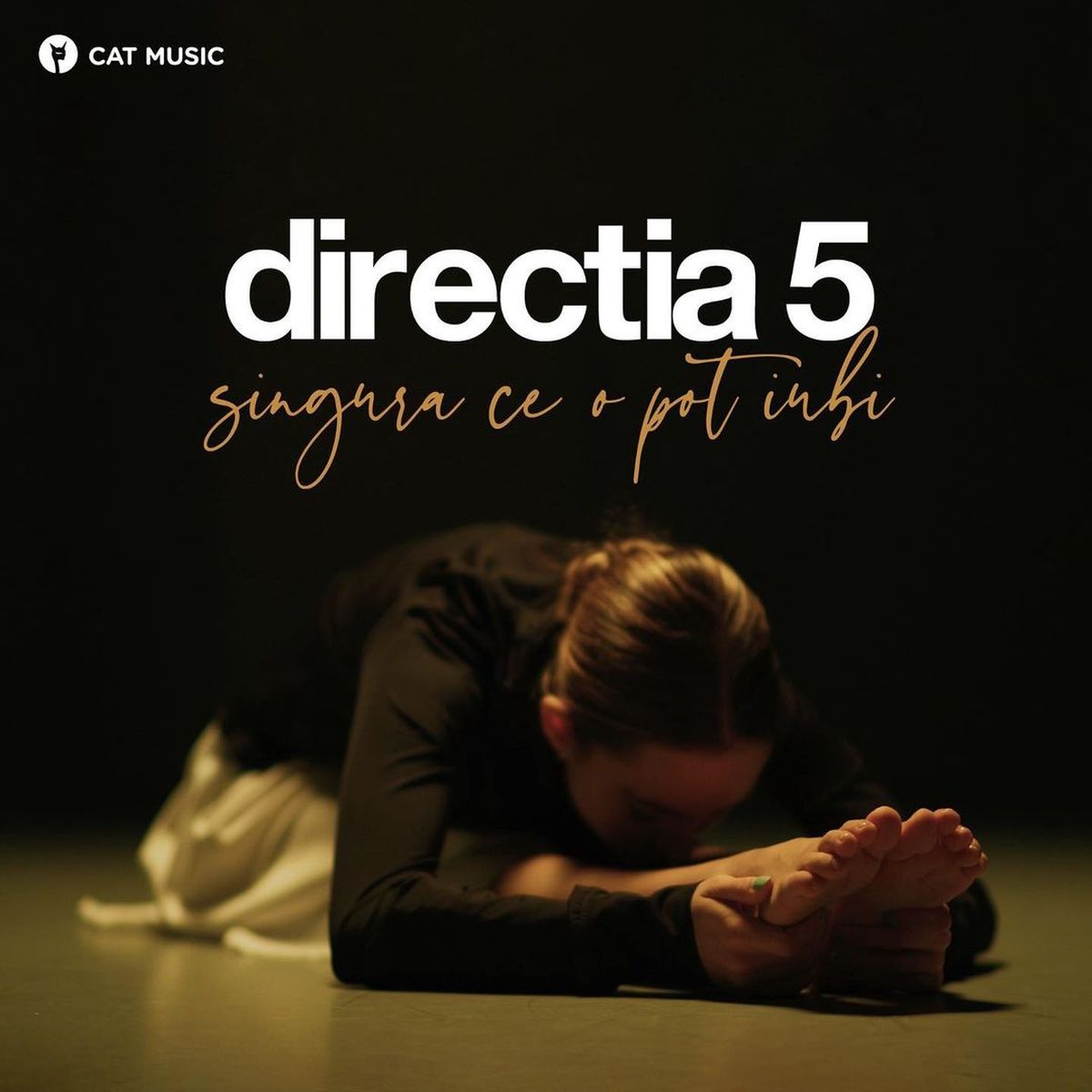 Direcția 5
