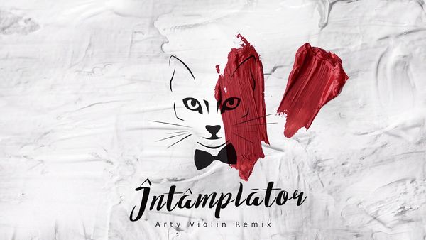THE MOTANS - Intamplator ( Arty Violin Remix)