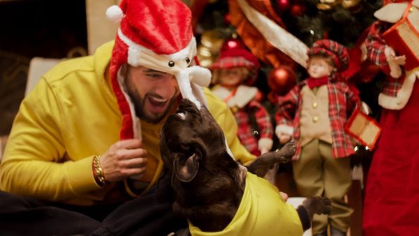 CHELUTU feat. DORIAN POPA - Chelutu Cu Bradutul