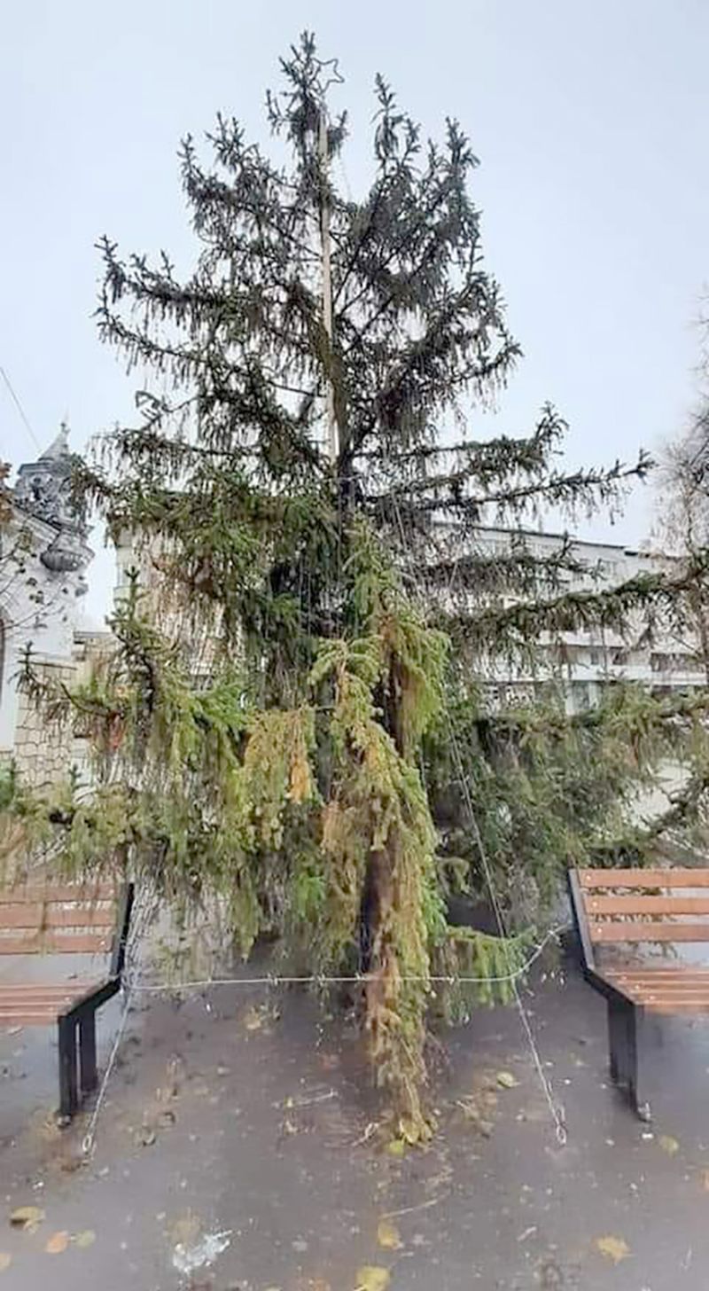 Bradul de Crăciun din Huși, reacții virale