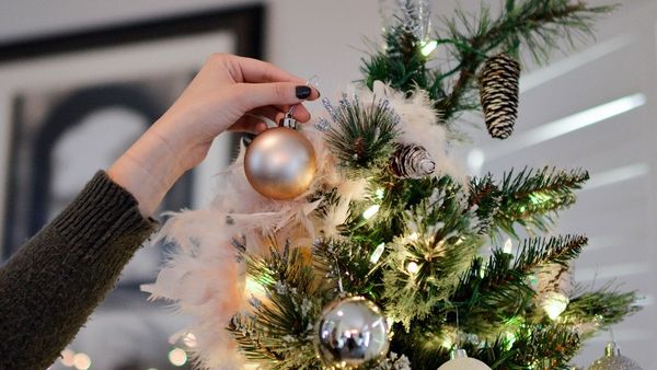 Ţara &icirc;n care se v&acirc;nd pentru prima dată brazi şi ornamente de Crăciun