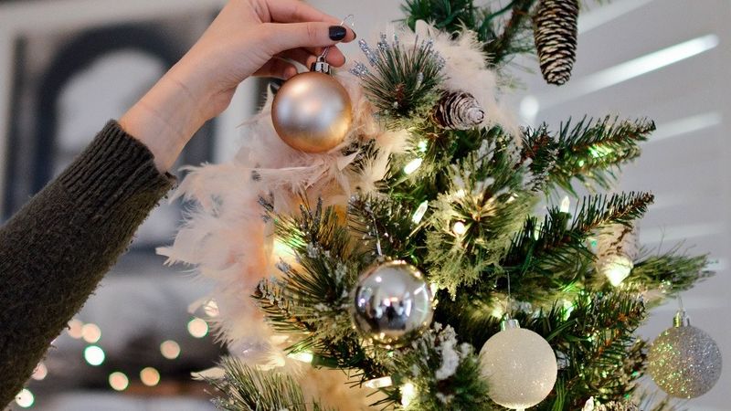 Ţara &icirc;n care se v&acirc;nd pentru prima dată brazi şi ornamente de Crăciun