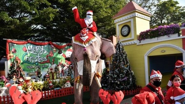 INEDIT! În Thailanda Moș Crăciun a venit călare pe un elefant și a oferit măști de protecție 