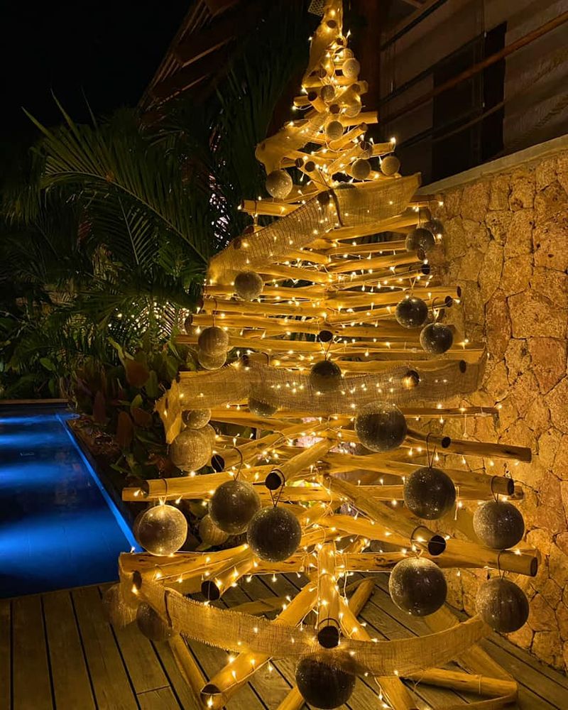 Crăciun exotic pentru Delia 