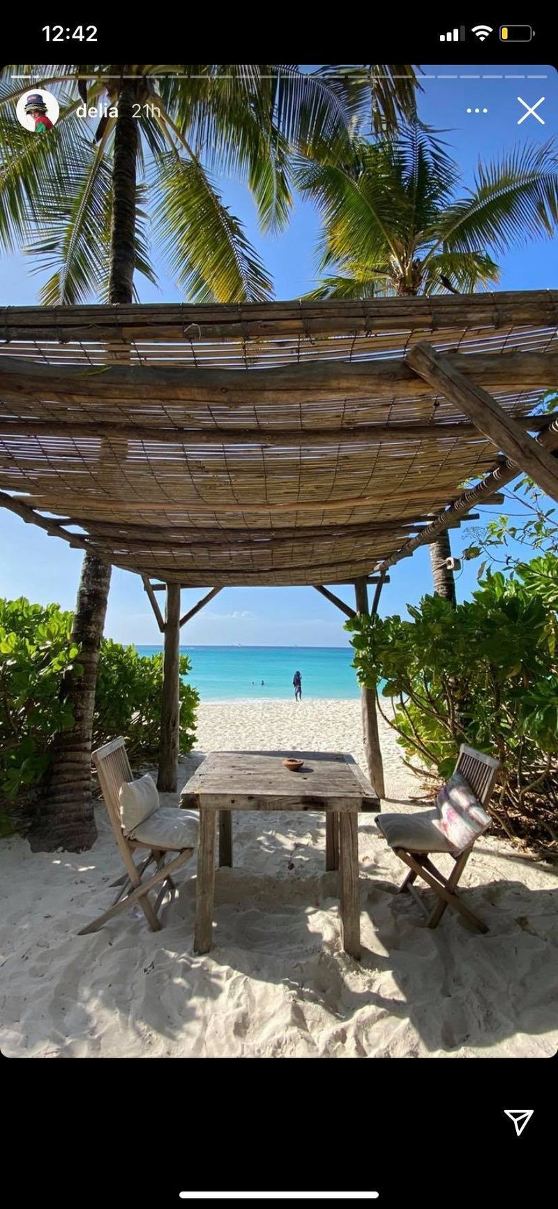 Crăciun exotic pentru Delia 