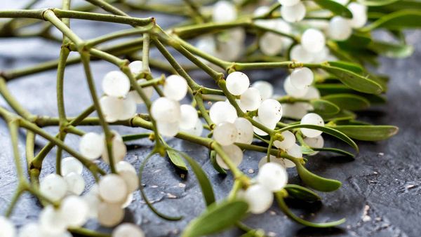 De ce e bine să te săruți sub v&acirc;sc de Revelion?