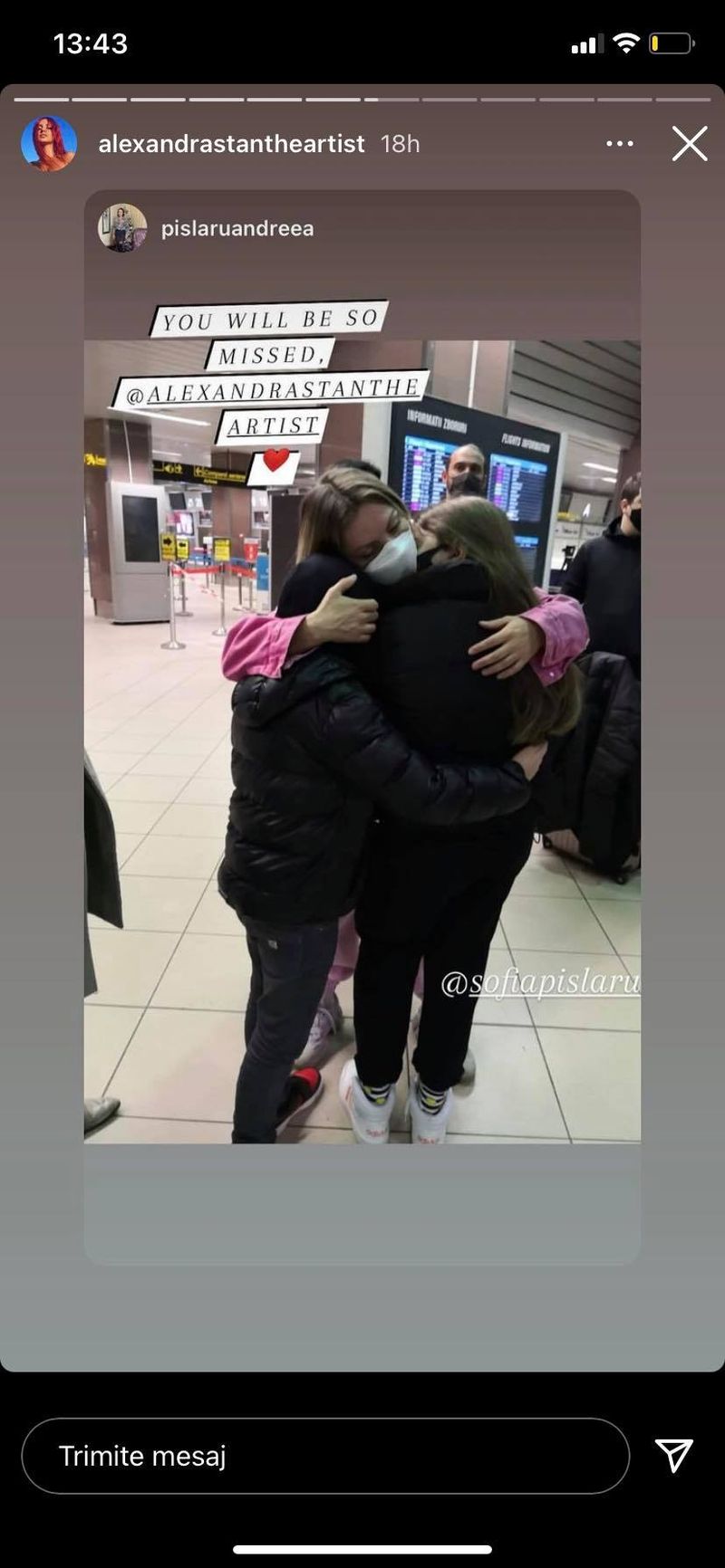 Alexandra Stan  Survivor 