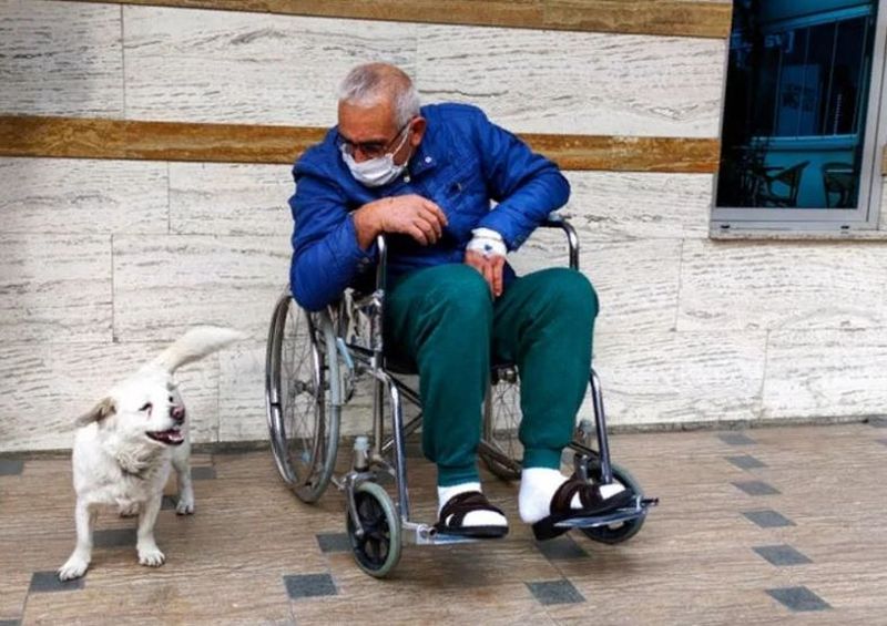 Un cățel a stat zile în șir în fața spitalului așteptând externarea stăpânului său