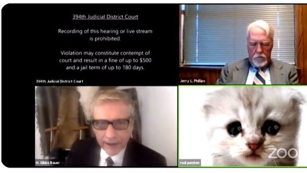Un avocat s-a făcut de râs în timpul unui proces pe zoom! A intrat în conferință cu un filtru de pisică